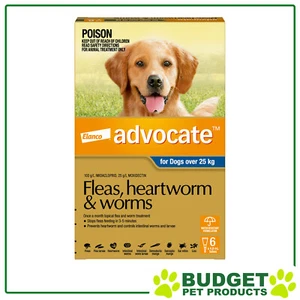 Advocate For Dogs XLarge Over 25kg 6 Pack - Picture 1 of 1