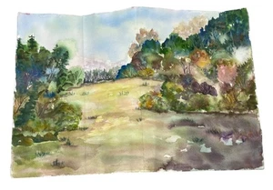 Pintura De Paisaje Acuarela De Colección Sobre Papel Grueso Naturaleza Verde Azul 21.5X15" LEER - Imagen 1 de 5