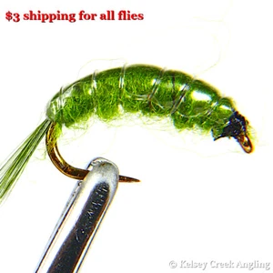 1 Docena (12) Oliva Scud - mosca de pesca, ninfa, mosca de la trucha - Imagen 1 de 1