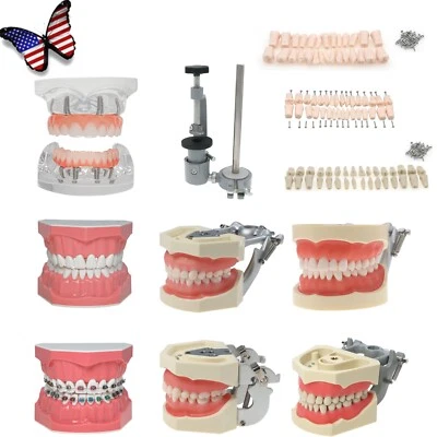 Набор для моделирования зубов со сменными зубами, имплантатом, кронштейнами, монтажным столбом - Изображение 1 из 4