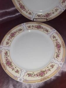 Lot of 2 LYNNS LUCIANNA 11"inch Floral Dinner Plates - Picture 1 of 4