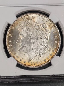 1884 1 $ Morgan Silber Dollar NGC MS64 getönt - Old Brown Label - Bild 1 von 4
