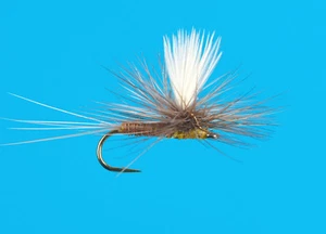 Red Quill Parachute, 6 pcs. size 18 - Picture 1 of 1