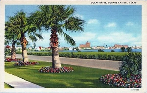 Postal de Ocean Drive Corpus Christi Texas sin publicar - Imagen 1 de 2