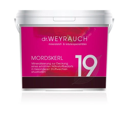 Dr. Weyrauch Nr 19 Mordskerl