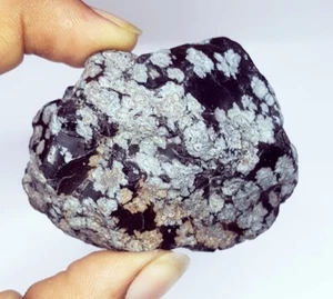 Gemas ásperas de piedra preciosa suelta negra natural de 310,12 quilates con certificación de obsidiana - Imagen 1 de 9