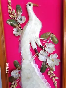 DE COLECCIÓN CONCHAS MARINAS BLANCO PAVO REAL PÁJARO Y COLLAGE DE FLORES EN MADERA MARCO 24 X 8 - Imagen 1 de 5