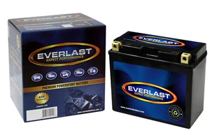 EVERLAST  CTX14-BS   - 12V AGM Sealed Maintenance-Free Battery - Picture 1 of 10