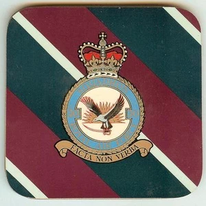 Coaster Royal Air Force, 20 Squadron - Picture 1 of 1