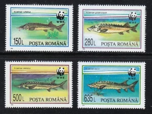 Romania 1994 MNH Sc 3954-3957 Mi 5034-5037 Fish. Sturgeon. WWF ** - Picture 1 of 1