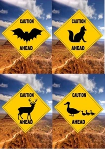 Señal de tráfico estilo australiano novedad animales murciélagos camello vacas burro canguro koala - Imagen 1 de 22