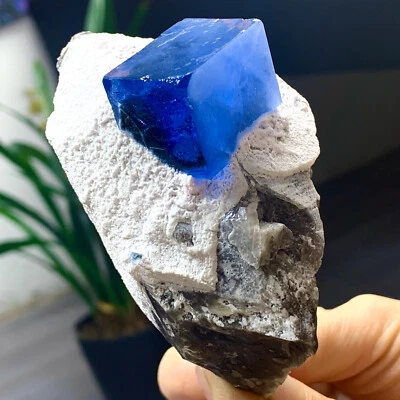 343G Rare transparent blue cubic fluorite mineral crystal sample / China - Image 1 of 4