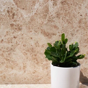 Wand- & Bodenfliesen CAPPUCCINO POLIERT BRAUN Marmor MUSTER - Bild 1 von 7