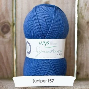 WYS Signature 4 ply Spice Rack Knitting Wool Yarn 100g - 157 Juniper - Picture 1 of 2