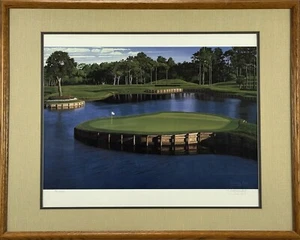 Danny Day 17th Hole TPC Sawgrass Players Print Framed Matted Signed #94/1000 - Picture 1 of 13
