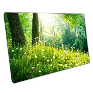 Botanical Dandelion Canvas: Woodland Floor Art for Home & Office Walls - - Picture 1 of 10