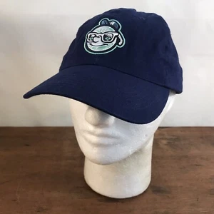 Asheville Tourists Minor League Baseball Adjustable Cap Hat CH36 - Picture 1 of 6