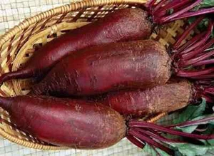 200 SEMILLAS DE REMOLACHA ROJA + Regalo - Imagen 1 de 1