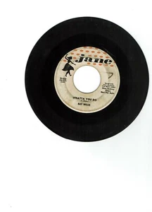 Ray Willis Rock A Billy 45 (Jane 11-103) Whatta You Do/Patricia Darling - Imagen 1 de 2