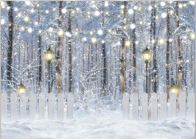 Telón de fondo nevado para fotografía telón de fondo de escena de invierno (7x5 pies) Foto 1 de 2