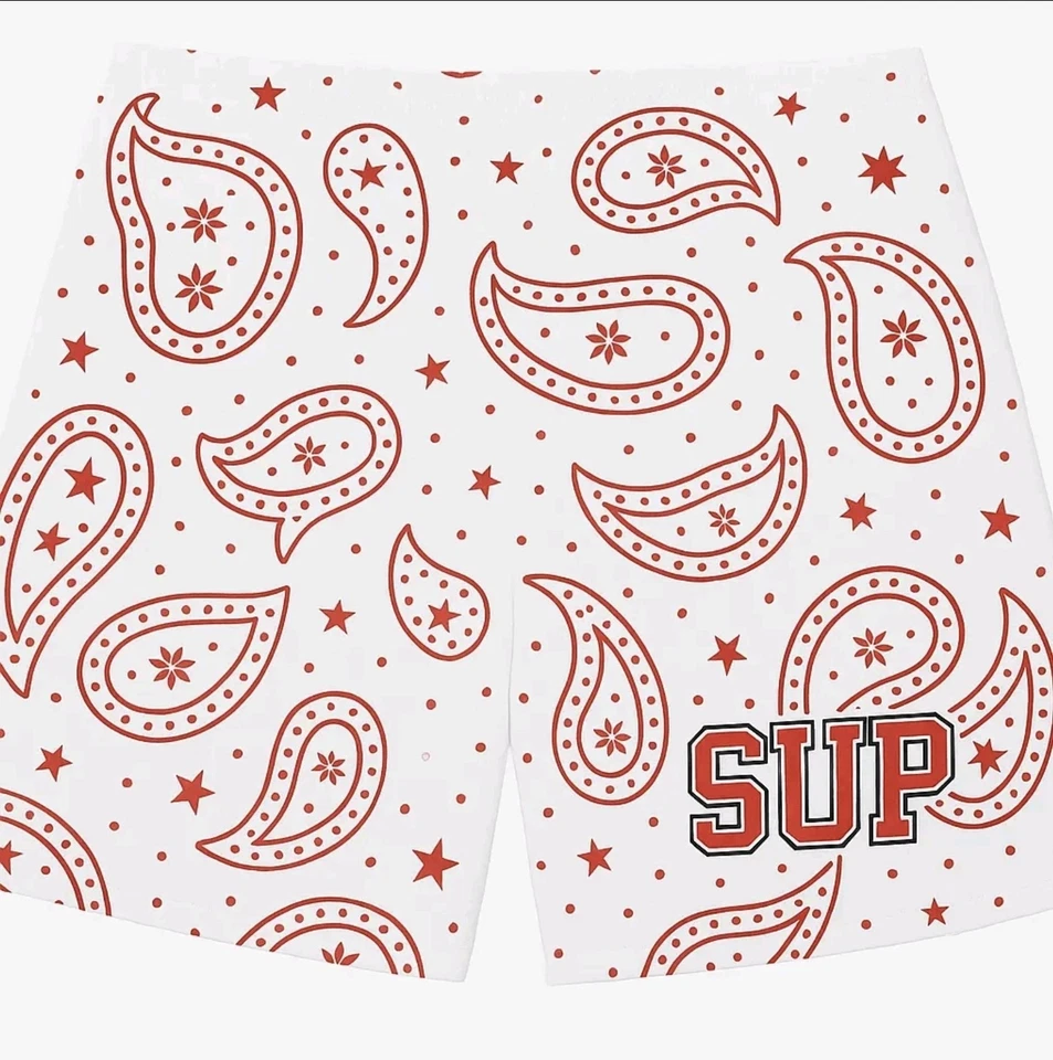 Superior Supply SUP Red Paisley Mesh Shorts Men’s Large XL & XXL Streetwear NWT - Изображение 1 из 1