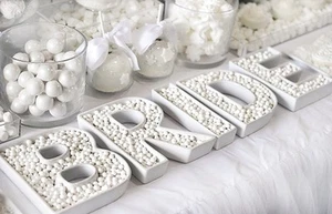 BRIDE Dishes for Bridal Shower/Wedding /Lolly Buffet/Engagement/Table decoration - Picture 1 of 4