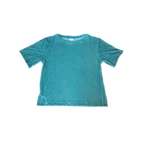 Adrian Delafield Velvet Like Crush Short Sleeve Top Women's Size Large - Picture 1 of 11