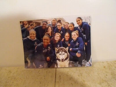 UCONN WOMEN: Laminated Full Color 5 x 7 Photo of 2017-18 UCONN WOMENS BASKETBALL - Image 1 of 4