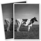 2 x Vinyl Stickers 7x10cm - BW - Dairy Cow Cattle Farm Farmer Milk  #36812