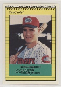 1991 ProCards Minor League Bruce Schreiber #1094