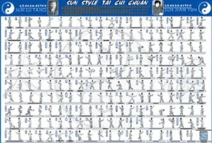 Póster estilo sol Tai Chi Chuan 36"x24" - Imagen 1 de 1