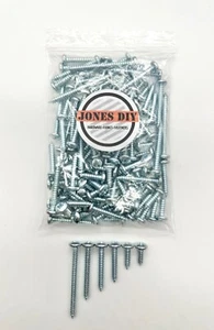 BOLSA MIXTA CALIBRE 10 TORNILLOS ACERO ZINC AUTOGOLPEADOR CABEZA POZI PAN 10G - Imagen 1 de 5