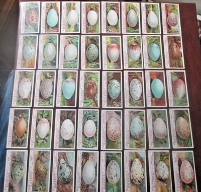 OGDEN '' A SERIES BIRDS EGGS 1908'' FULL  Mostly VG/EX SET OF 50 - Image 1 of 4
