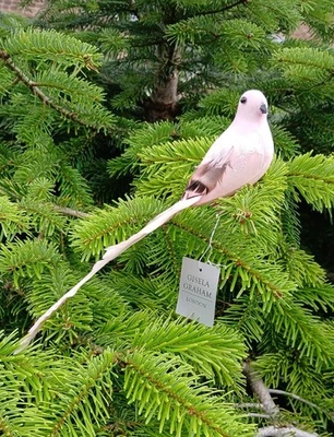 Christmas Decorations Pink Birds Gisel Graham Clip on Tree Decoration Ornament 3 - Image 1 of 4