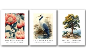 Cape Town, South Africa National Symbols, Set of 3 Poster, Wall Décor, Unframed - Picture 1 of 7
