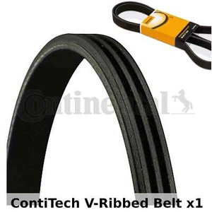 ContiTech V-Ribbed Belt - 3PK860 , 3 Ribs - Fan Belt Alternator, Drive Belt - Picture 1 of 1