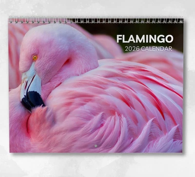 BOYCE PUBLISHING Flamingo Calendar 2026: Monthly Wall Calendar with Notes, opens to A3