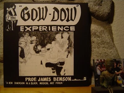 ПРОФ. ДЖЕЙМС БЕНСОН The Gow-Dow Experience LP/1973 США/ДУХОВНЫЙ ДЖАЗ-ФАНК МОНСТР - Изображение 1 из 2