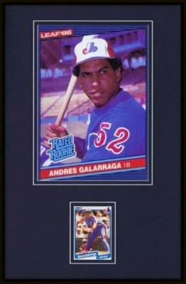 安德烈斯·加拉拉加签名带框11x17照片展示曝光 — 第 1/2 张图片