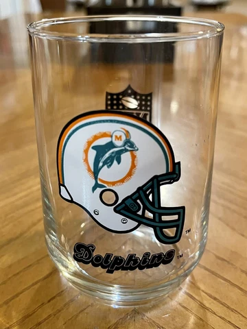 Vintage Miami Dolphins 5" Drinking Glass NFL Tumbler Cover