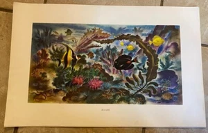 Obra de arte con título See Life sin marco - Imagen 1 de 2