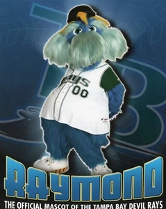 TAMPA Bay Devil Rays RAYMOND Baseball MASCOT Photograph Picture MLB - Picture 1 of 2
