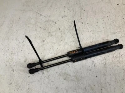 Par de capó delantero izquierdo y derecho BMW 550i GT 10-17 OEM B Foto 1 de 4