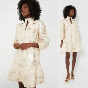 Tuckernuck NEW Champagne Fil Coupe Palmerston Formal Mini Dress Size L - Picture 1 of 8
