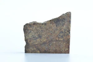 Meteorite NWA 8119 - Diogenite - found 2013 in NW Africa - part slice - 1.757 g - Picture 1 of 11
