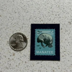 Imán de sello delgado 2024 Manatí USPS Servicio Postal de Estados Unidos #50676 - Imagen 1 de 3