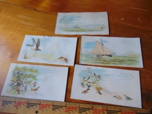 Fünf antike Adv. 1880er Jahre Karten - New England Clothing Co.- Gaff Rigged Boat & Bird - Bild 1 von 5