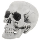 Creepy Charcoal Skull Shaped Decor for Houses