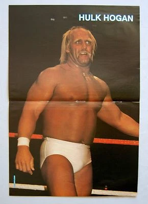 Póster de revista Hulk Hogan 11x16 campeón de la WCW WWE WWF Scotty The Body Raven Foto 1 de 2