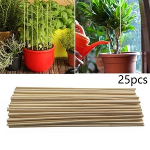 25pcs Bamboo-Sticks Trellis Stakes Kit For Garden Plants Support Tomatoes Peas - Picture 1 of 12